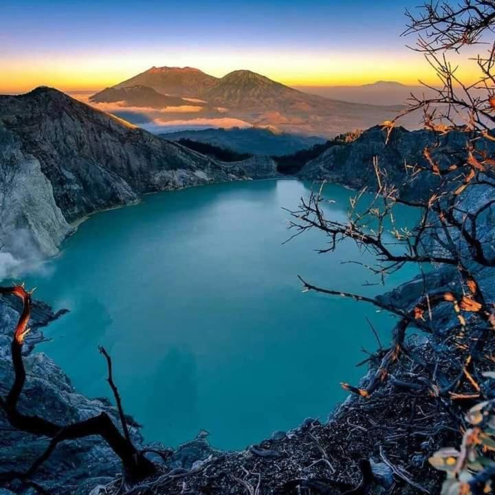 Dannu'S Homestay Ijen And Bromo Tour Banyuwangi  Buitenkant foto