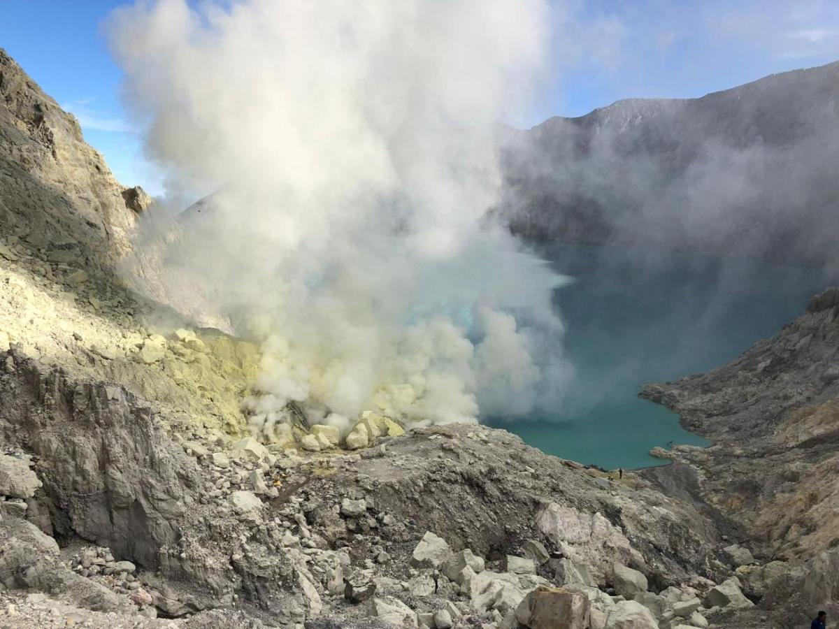 Dannu'S Homestay Ijen And Bromo Tour Banyuwangi  Buitenkant foto